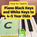 piano black keys and white keys